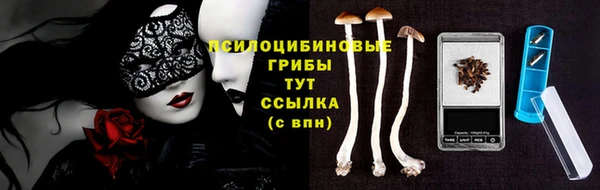 хмурый Армянск