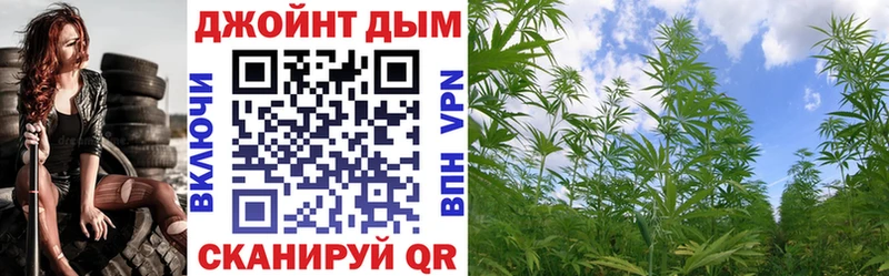 Бошки Шишки сатива  Питкяранта 